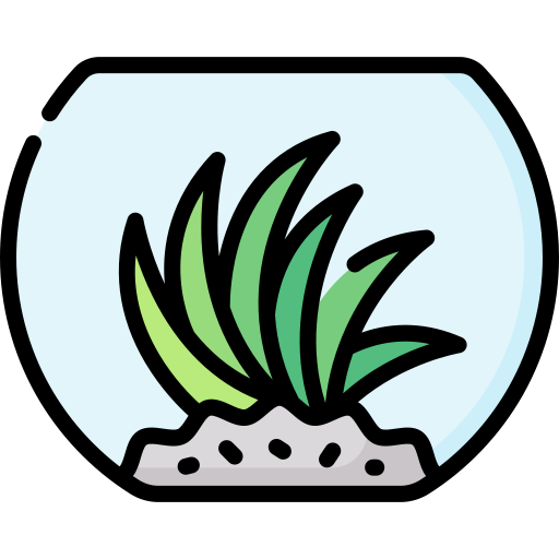 planta de aire icono gratis