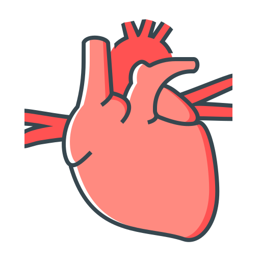 Cardiology Generic Outline Color icon