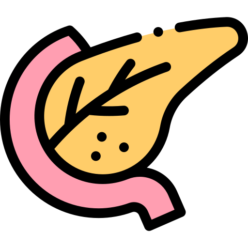 Pancreas free icon