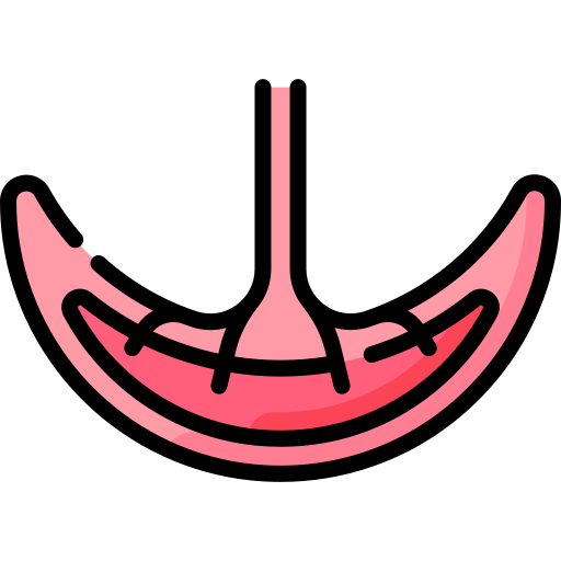 Placenta free icon Placenta free icon