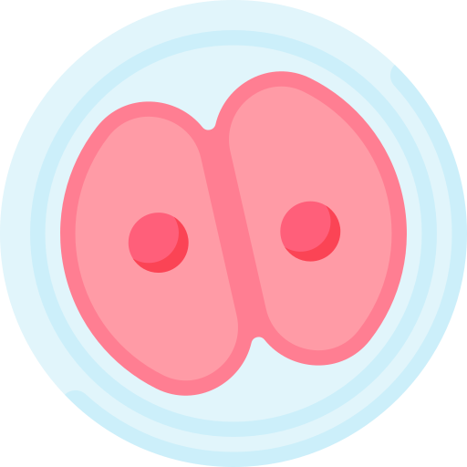 Zygote Special Flat Icon