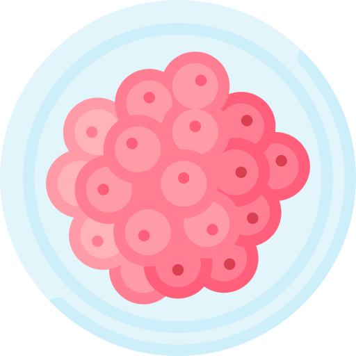 Zygote Special Flat icon