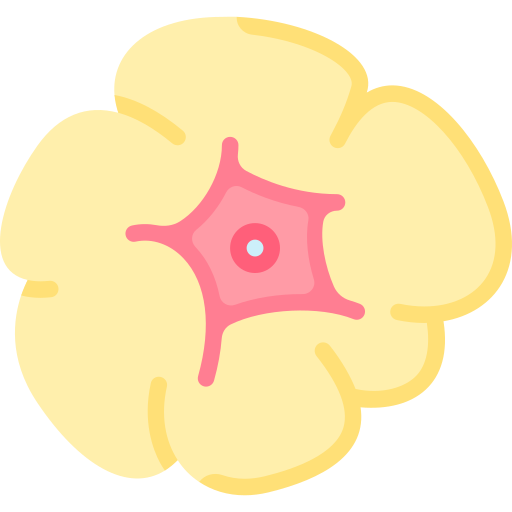Corpus luteum free icon
