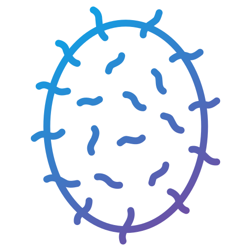 rambután icono gratis