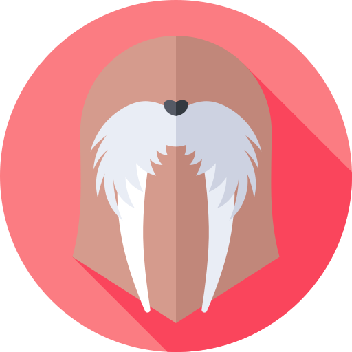 바다 코끼리 무료 아이콘