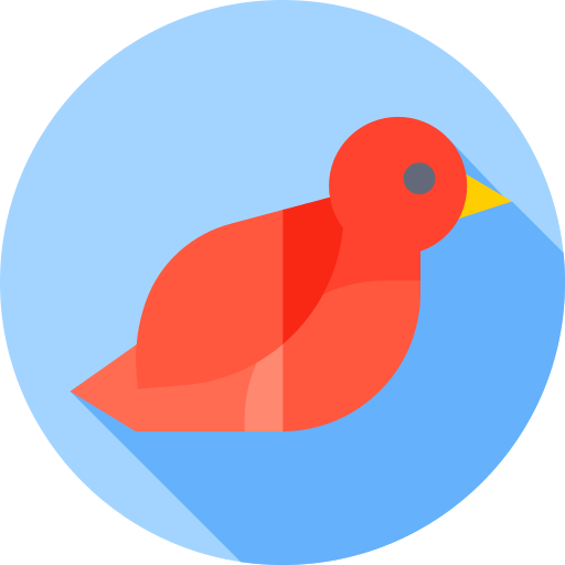pássaro grátis ícone