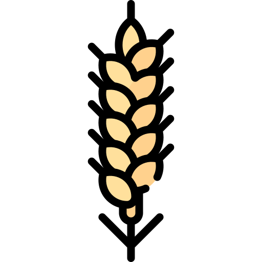 Wheat Special Lineal Color Icon