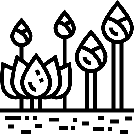 lotus kostenlos Icon