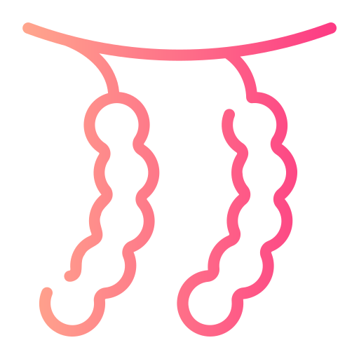 tamarinde kostenlos Icon