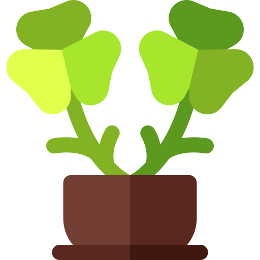 oxalis triangularis icono gratis