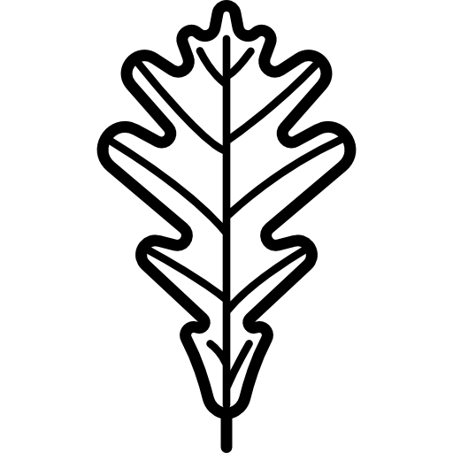 Leaf - Free nature icons