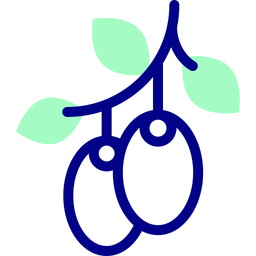 olives Icône gratuit