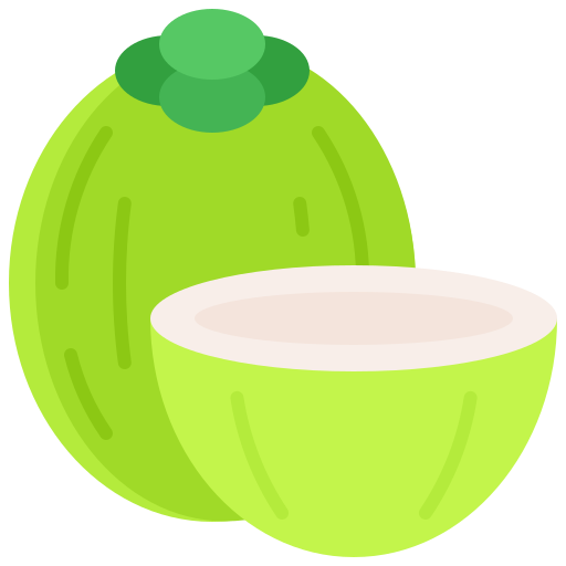 noix de coco Icône gratuit noix de coco Icône gratuit