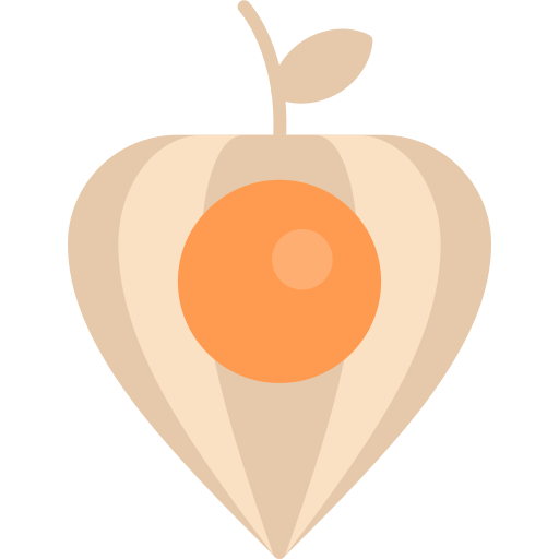 Physalis icono gratis