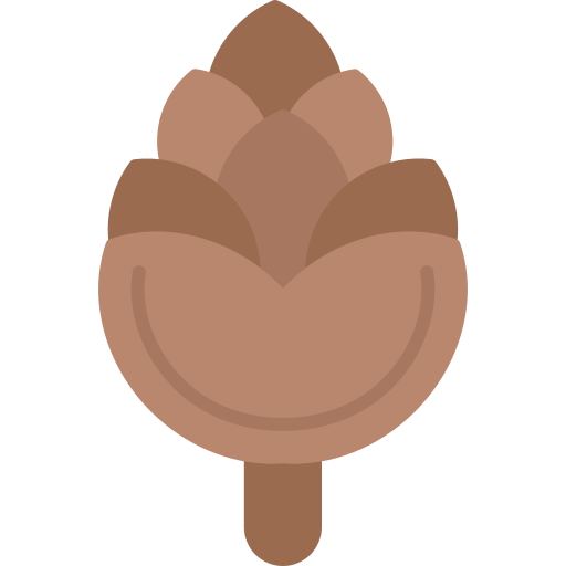 Pine Cone free icon Pine Cone free icon