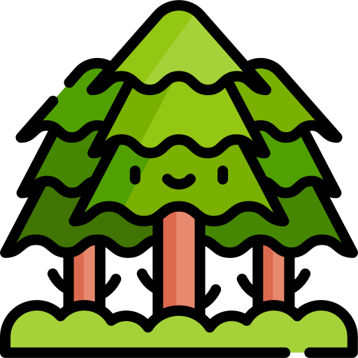 Spruce - Free nature icons
