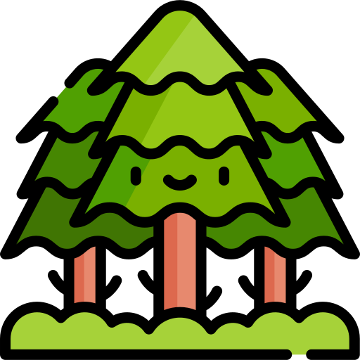 Spruce Kawaii Lineal color icon