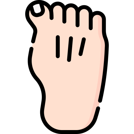 Toe Special Lineal color icon