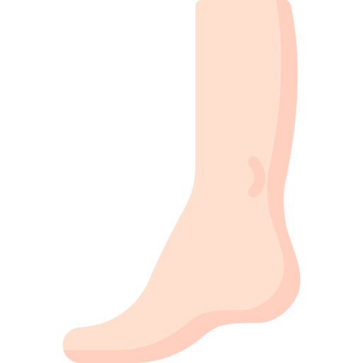 Heel Special Flat icon