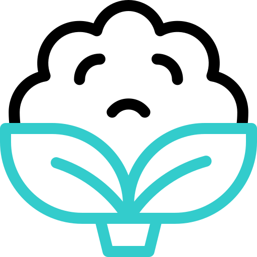 Цветная капуста бесплатно иконка