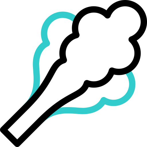 salat kostenlos Icon