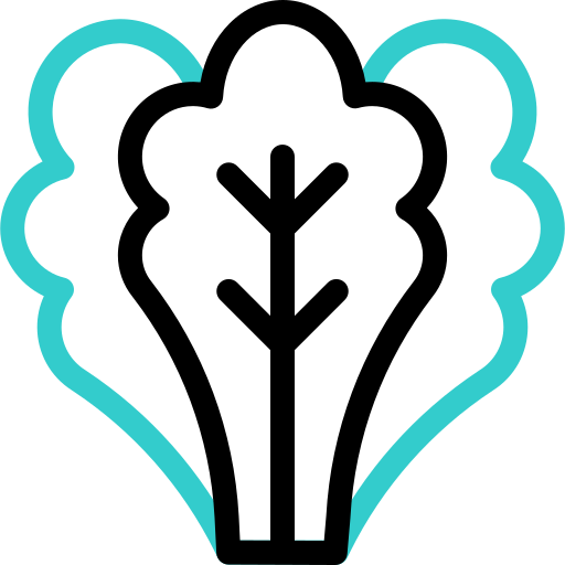Spinach free icon