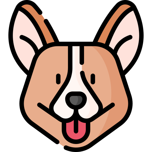 Corgi Special Lineal color icon