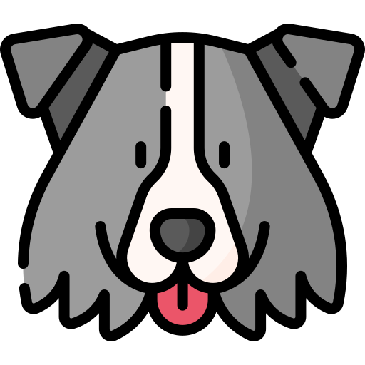 Border Collie free icon Border Collie free icon
