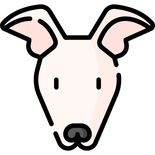 Greyhound free icon