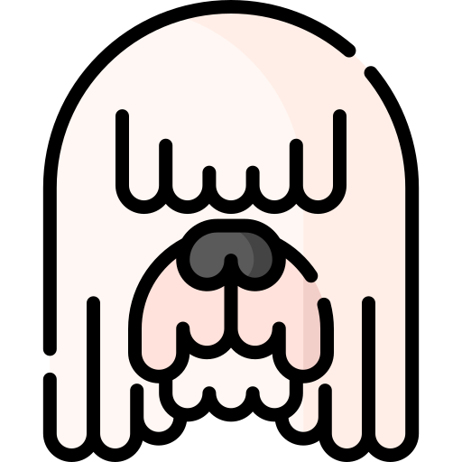 Bergamasco free icon