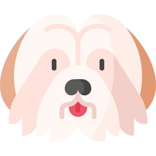 shih tzu icono gratis