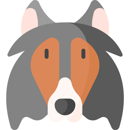 Collie icon Special Flat