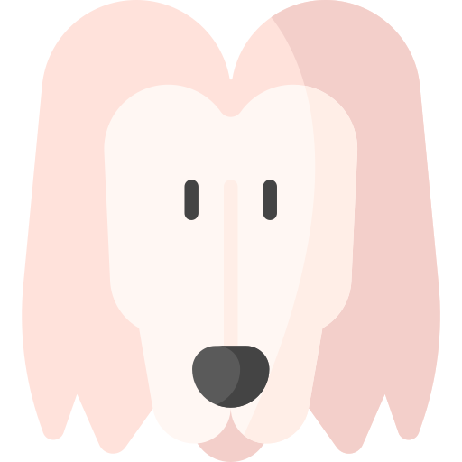 sabueso afgano icono gratis