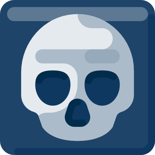 X ray Adib Sulthon Flat icon