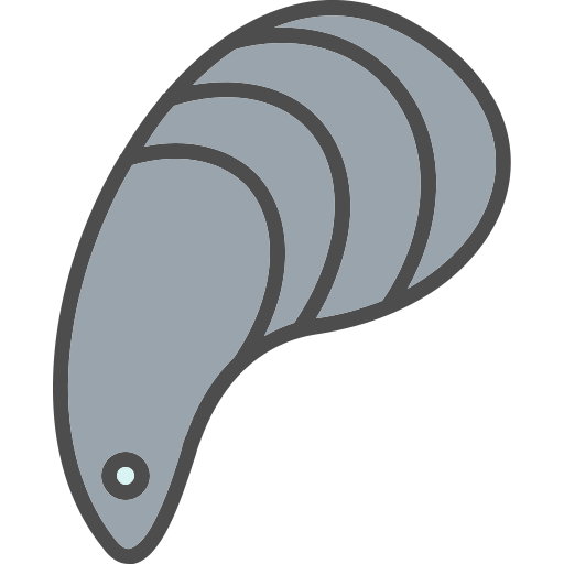 Мидия бесплатно иконка