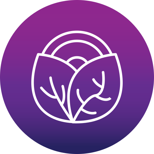 양배추 무료 아이콘