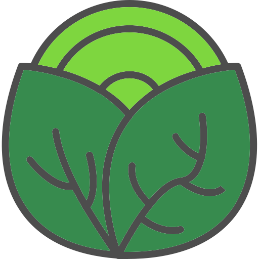 양배추 무료 아이콘