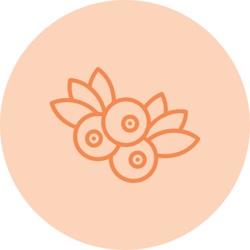 블루 베리 무료 아이콘 블루 베리 무료 아이콘