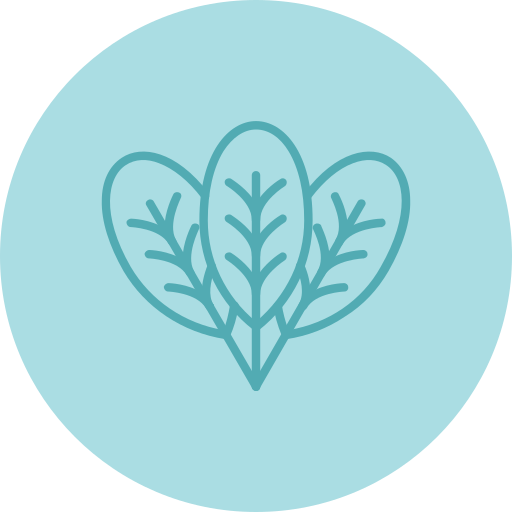 Spinach free icon