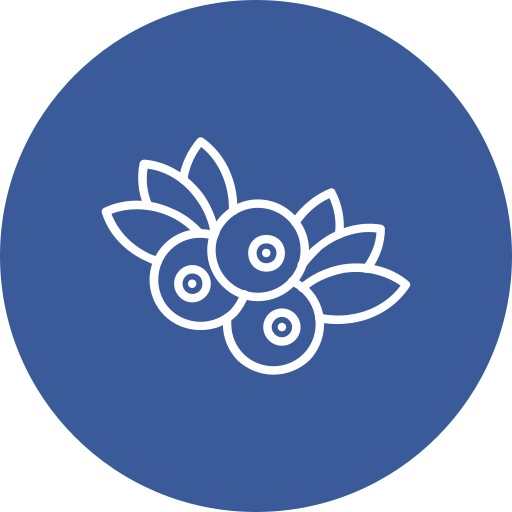 블루 베리 무료 아이콘 블루 베리 무료 아이콘