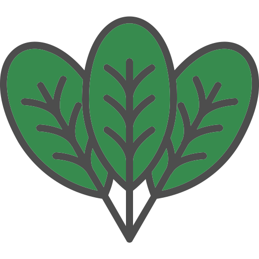 Spinach free icon