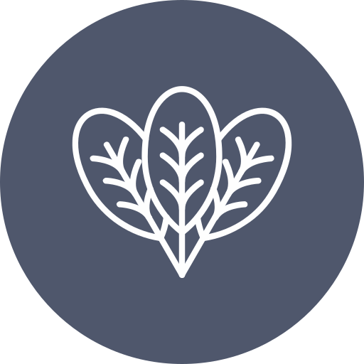 Spinach free icon