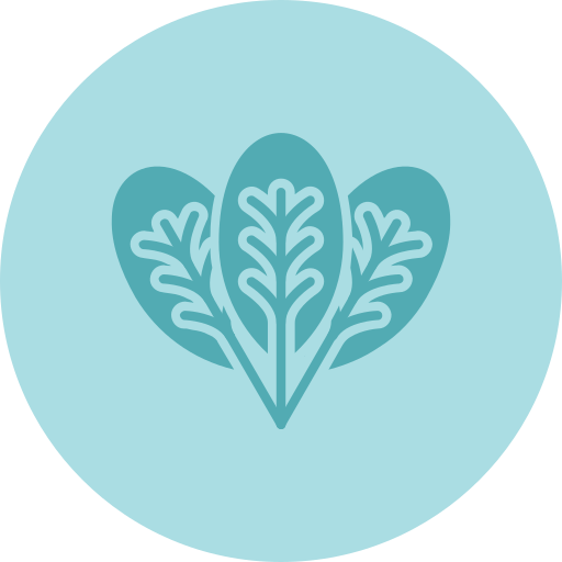 Spinach free icon
