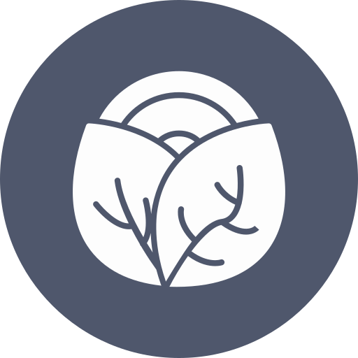 양배추 무료 아이콘