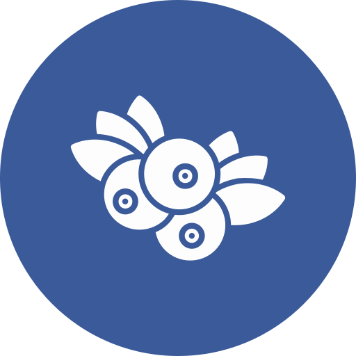 블루 베리 무료 아이콘 블루 베리 무료 아이콘