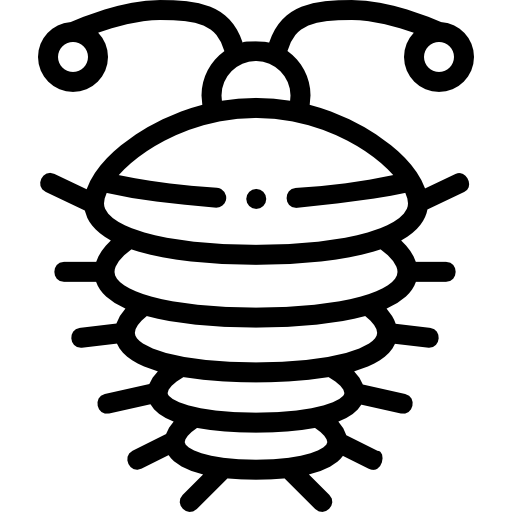 Членистоногие бесплатно иконка