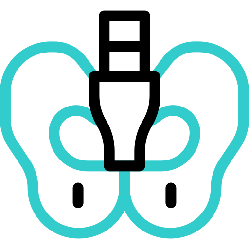 pelvis icono gratis