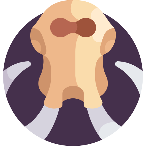 Mammoth free icon