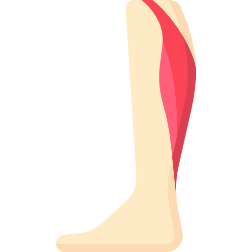 Икроножная мышца бесплатно иконка Икроножная мышца бесплатно иконка