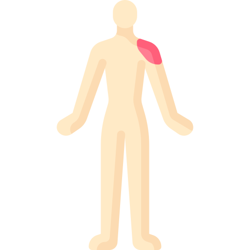 deltoides icono gratis